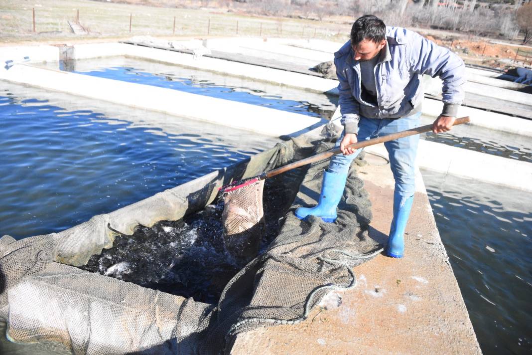 Denizi olmayan köyden 10 ülkeye balık yolladılar 3